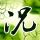 天使之路